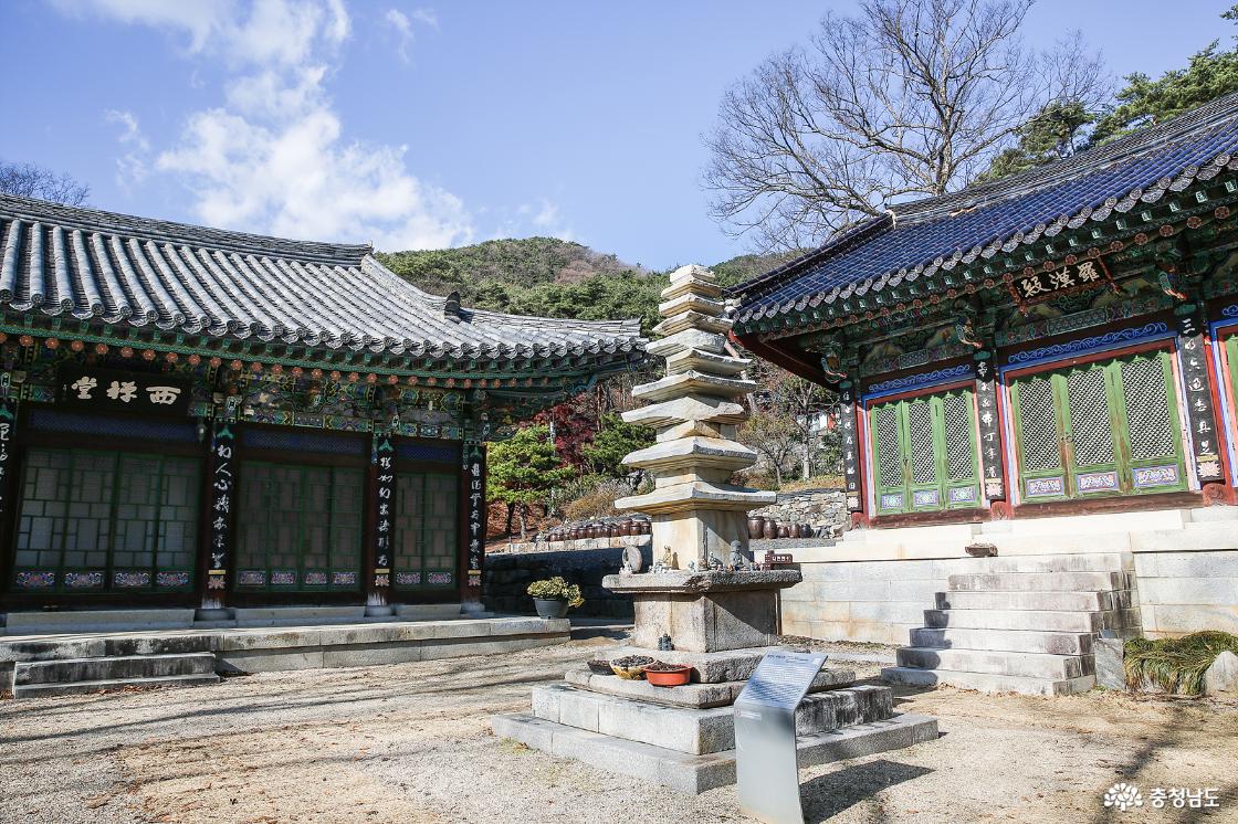 먹거리 - 충청남도 누리집(홈페이지) 충청남도 누리집(홈페이지)