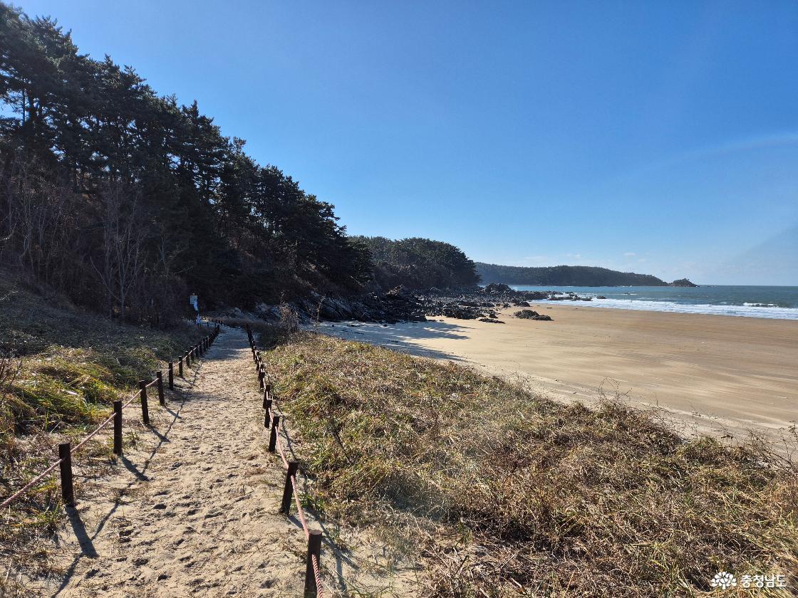 태안 학암포 해변 '바라길