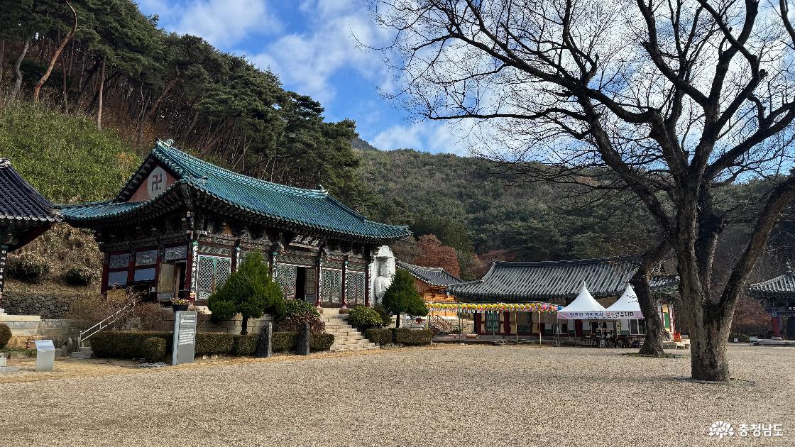 12월 단풍이 아름다운 예산 금오산 향천사