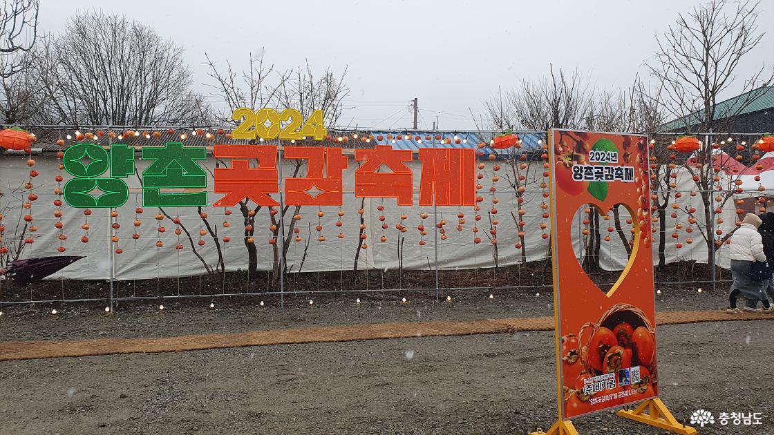 곶감축제 행사장 이글루