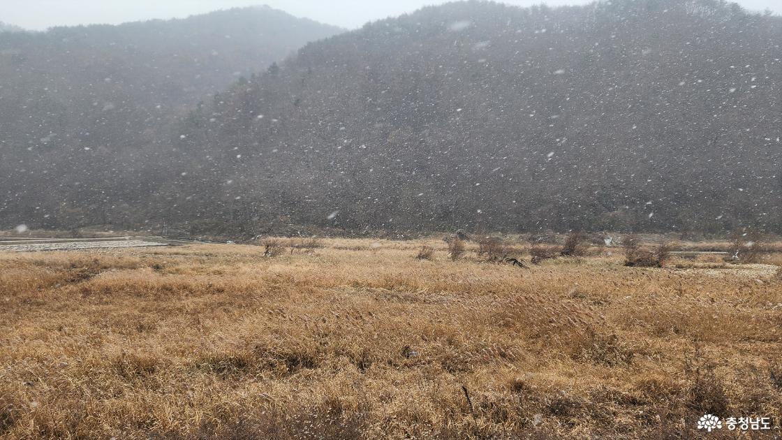 논산 곶감축제 눈내리는 풍경