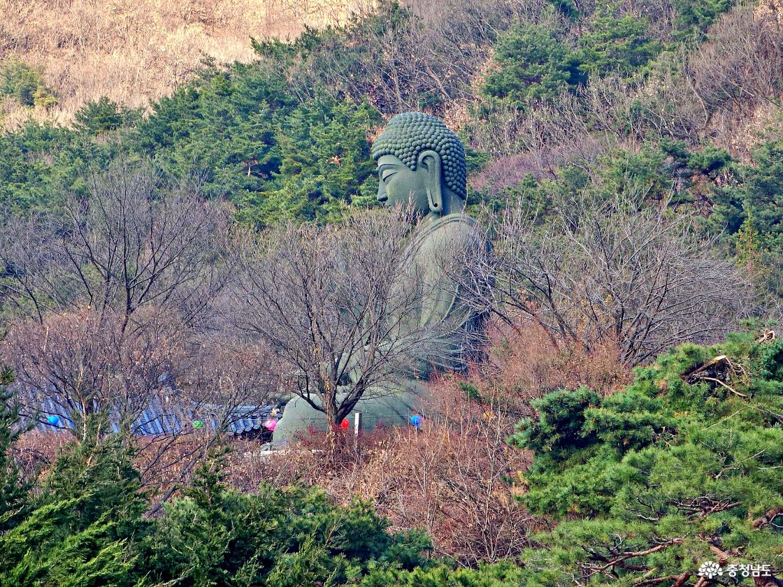 청동대불 좌불상