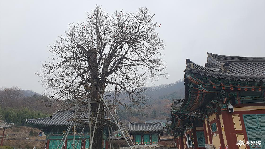 개태사 경내