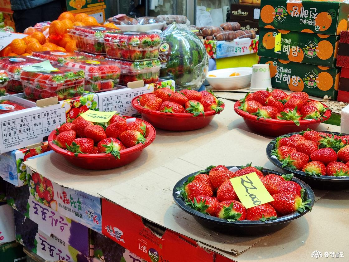 인기 많은 겨울 과일 논산 딸기