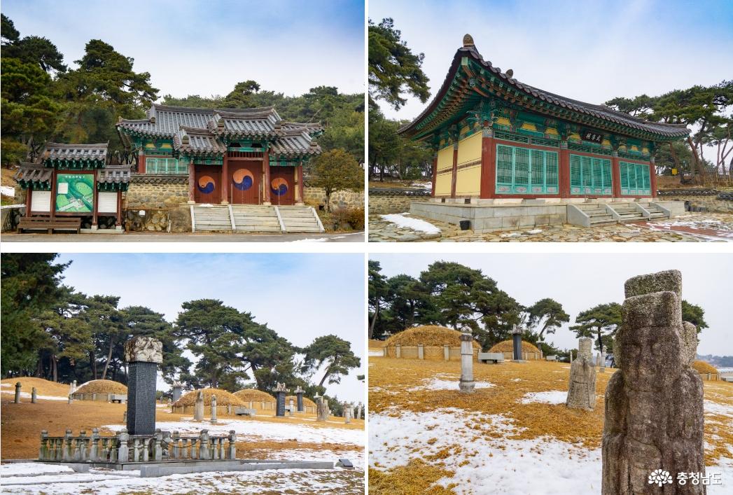 고추골 왕실 묘군과 무령사