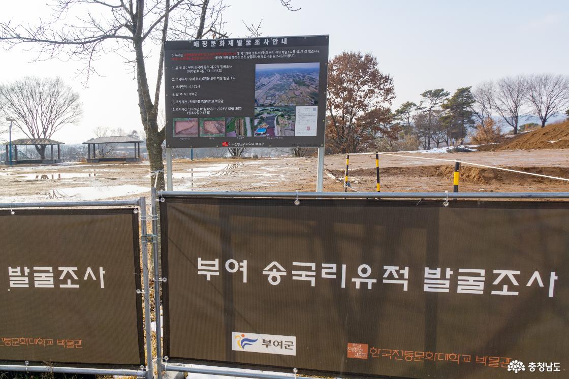 발굴 현장