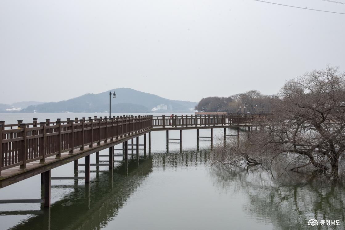수변공원 데크 길