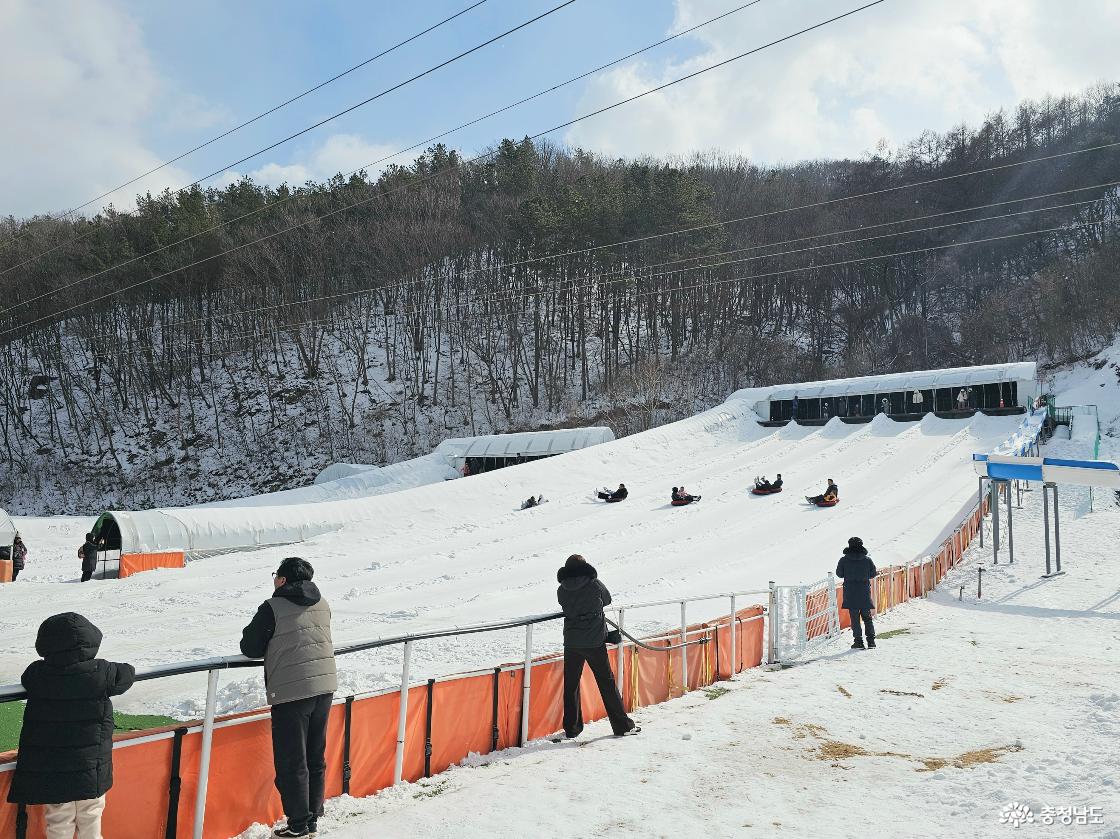 청양 알프스마을 눈썰매장