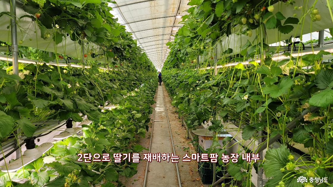 여행 - 충청남도 누리집(홈페이지) 충청남도 누리집(홈페이지)