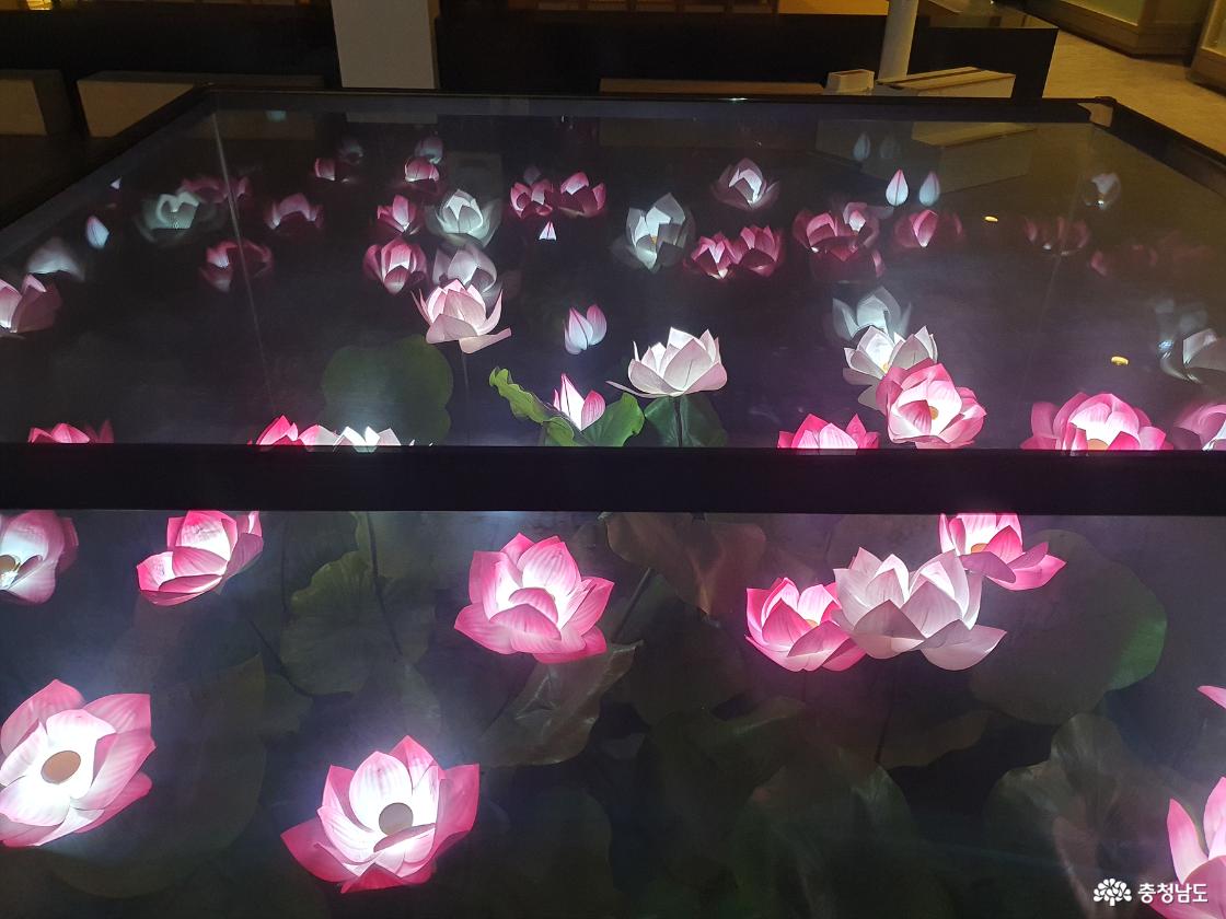 연꽃조명전시