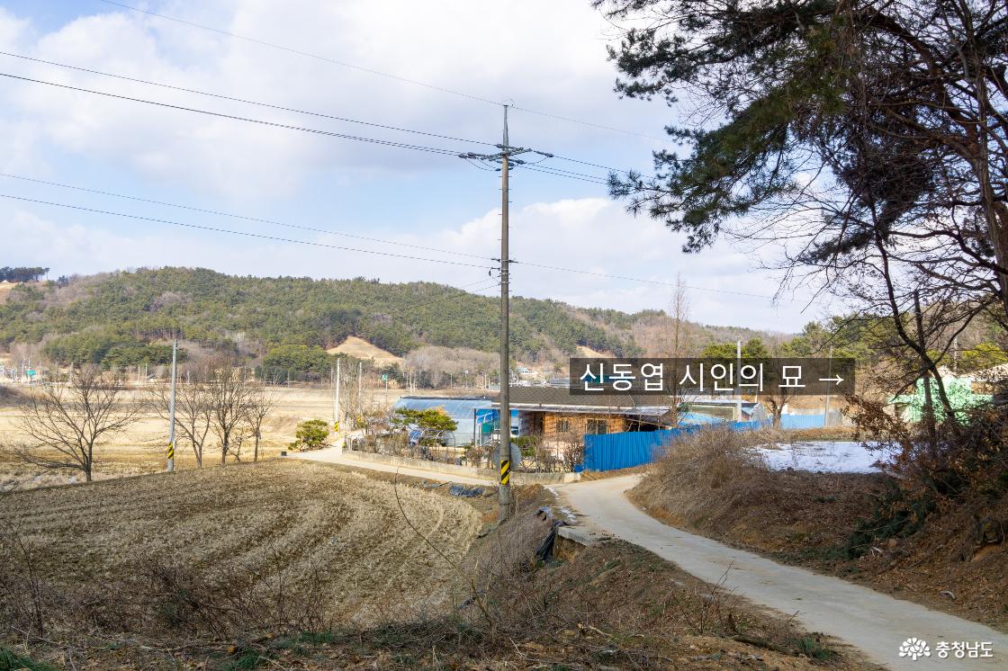 신동엽시인의 묘로 가는 길