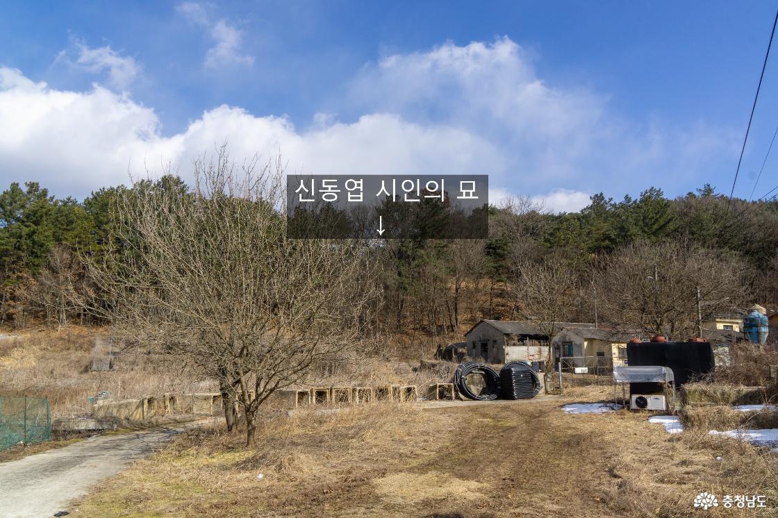 신동엽시인의 묘로 가는 길