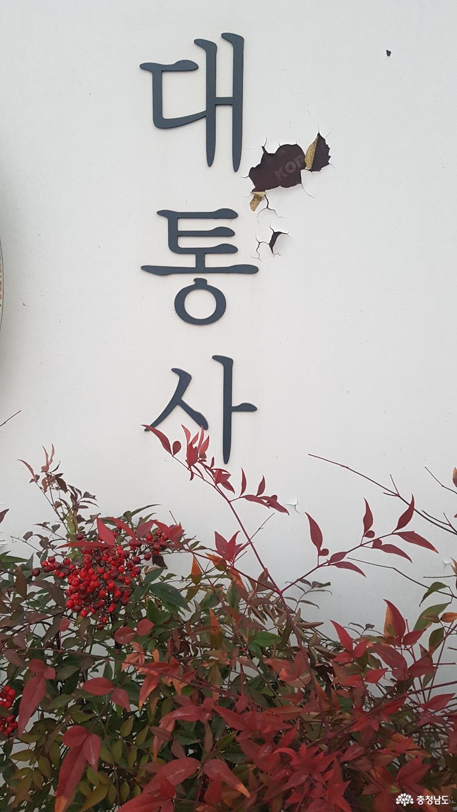 대통사