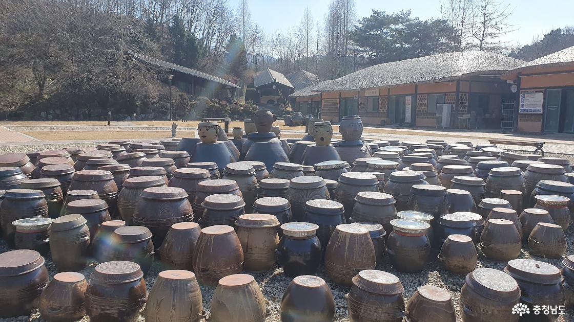마당에 전시된 옹기들