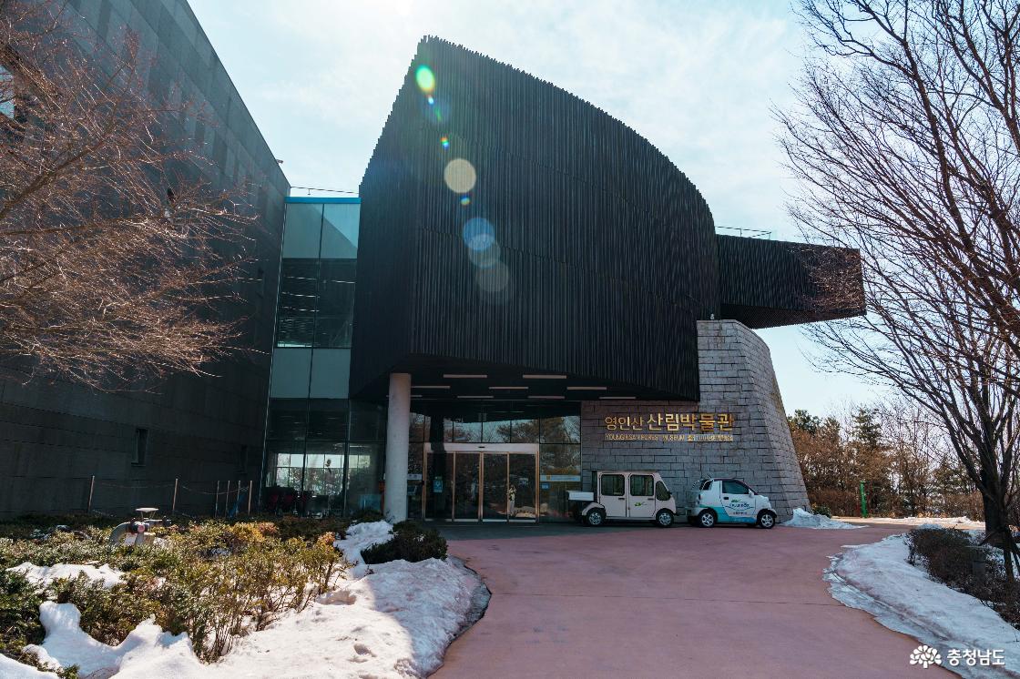 영인산산림박물관