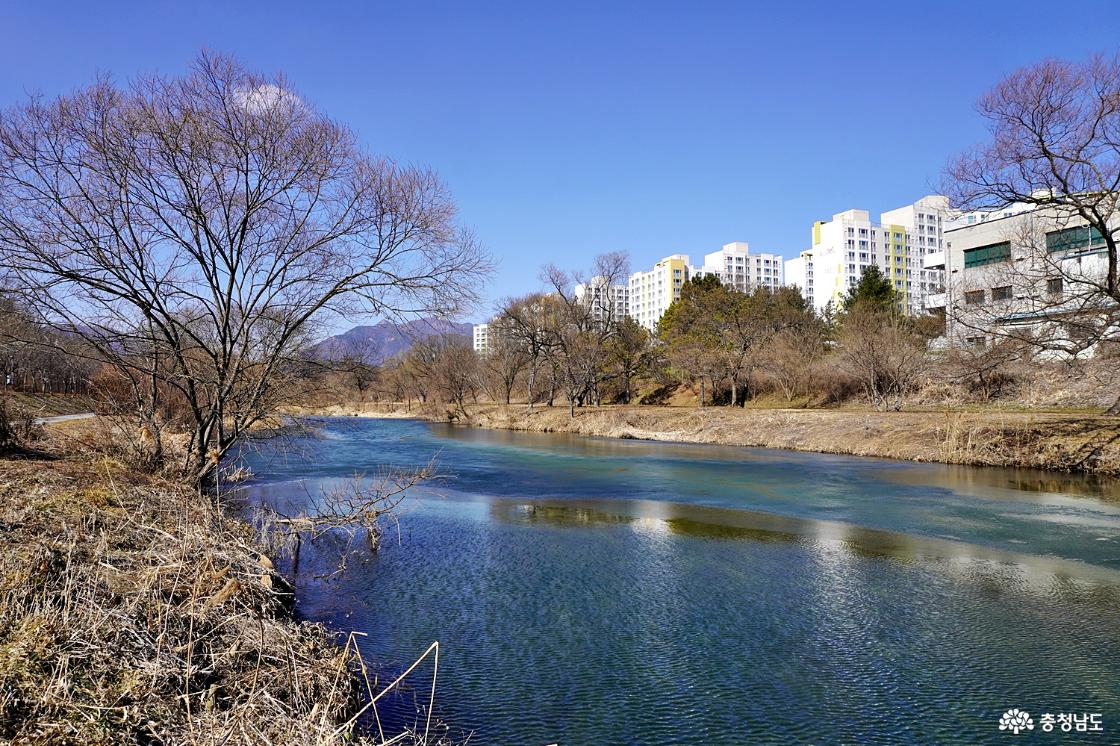 괴목정 생태공원