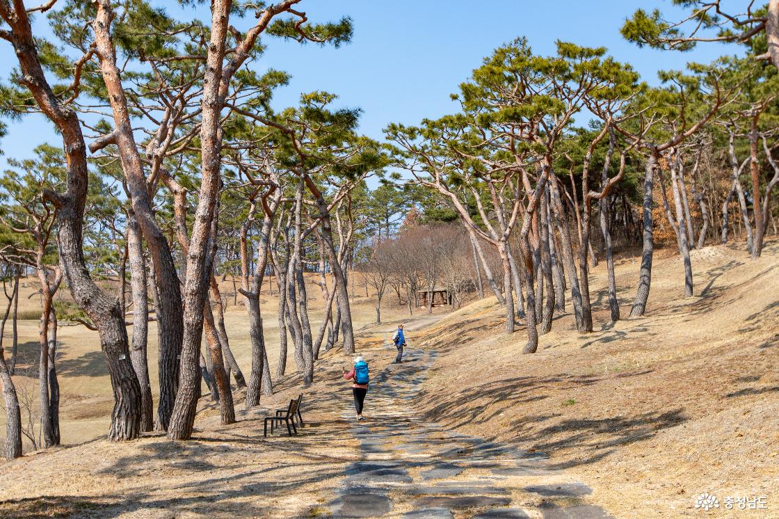 충혼공원 등산로