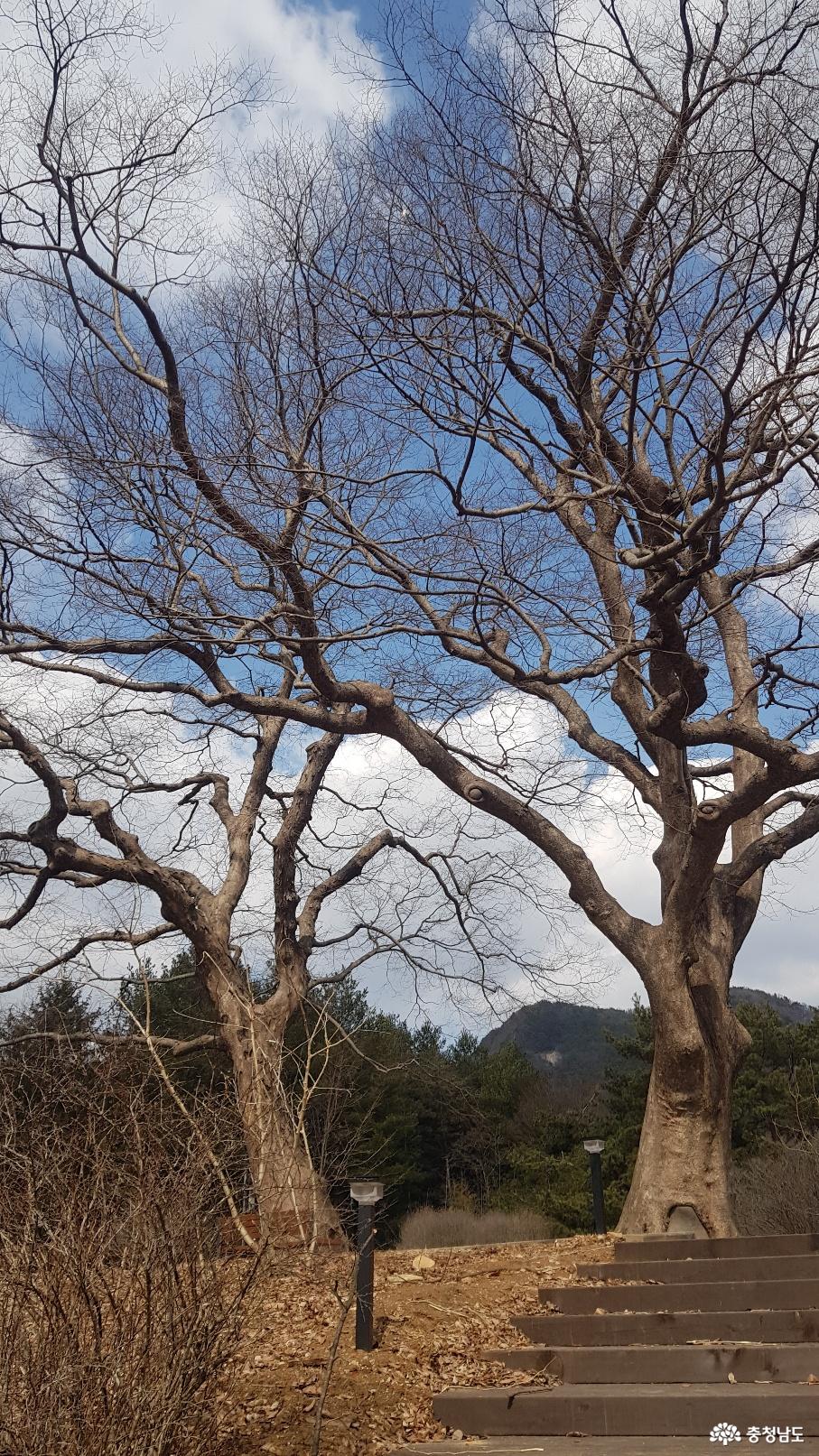 과목정