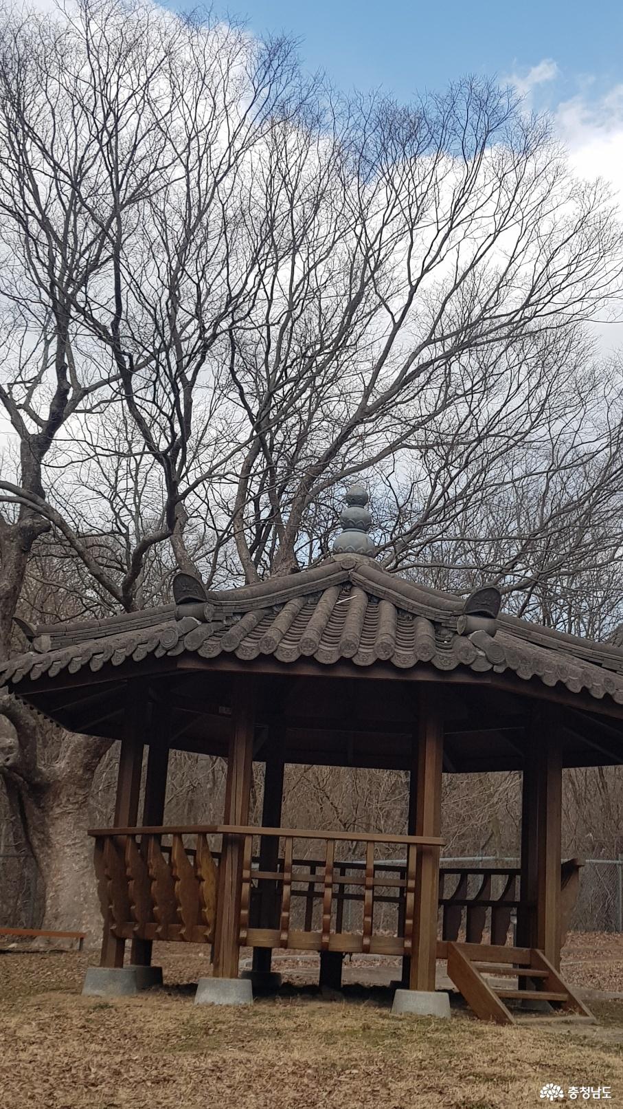 과목정