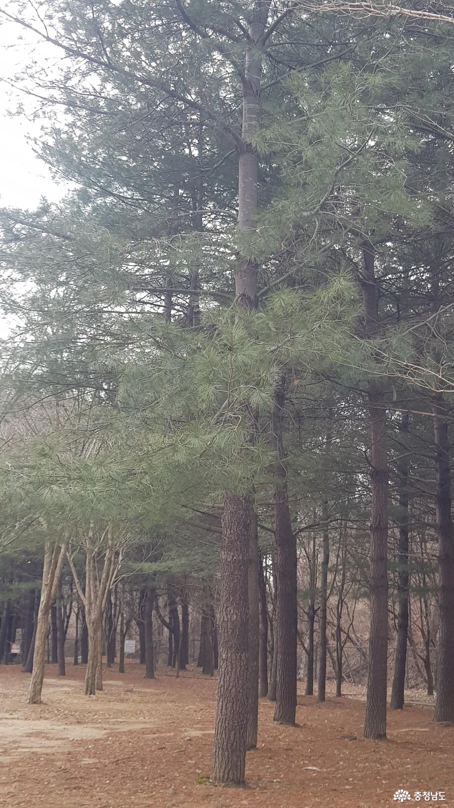 과목정