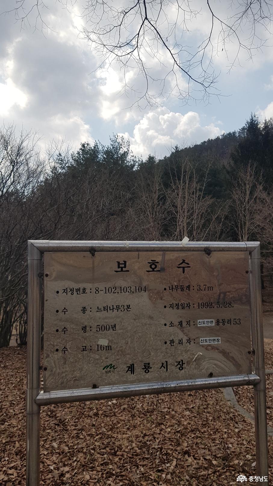 과목정