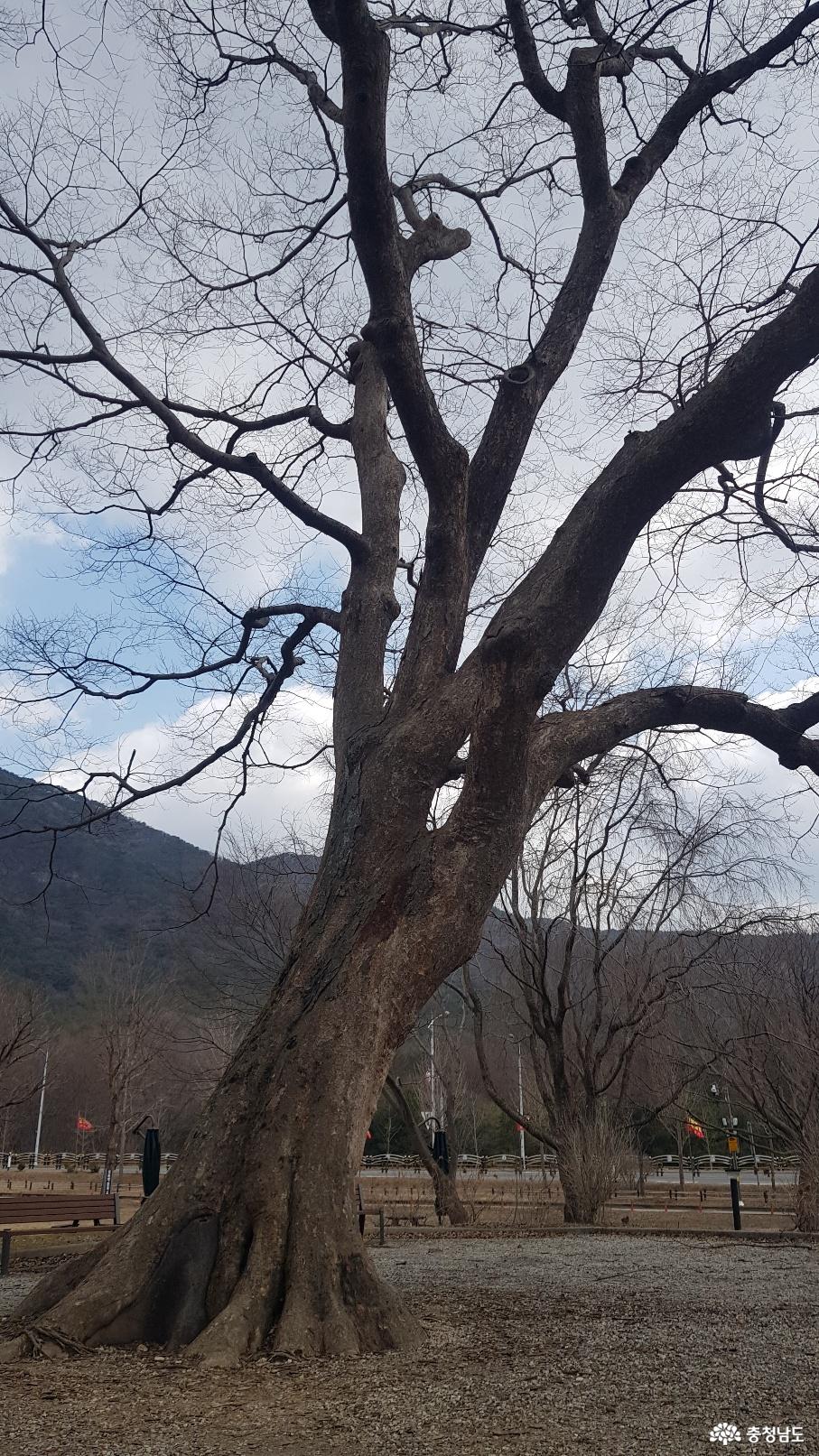과목정