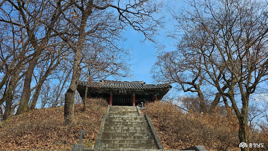 쌍수정