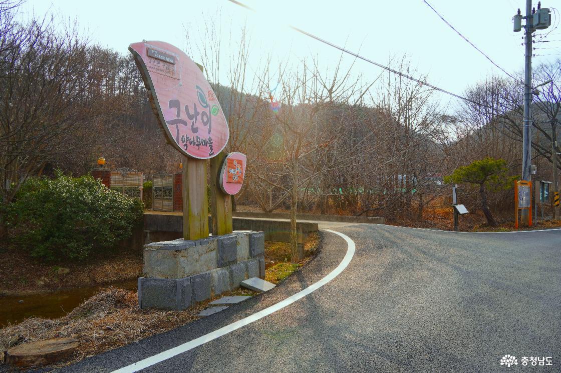 탄은 이정은 임진왜란 중에 부상을 입은 후 지금의 공주시 이인면 구암 2리에 정착한다.