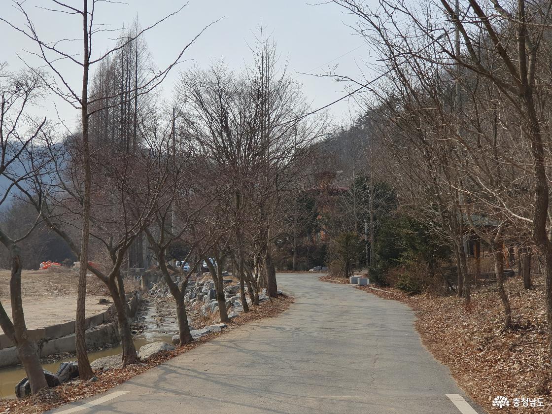 입암저수지 임도