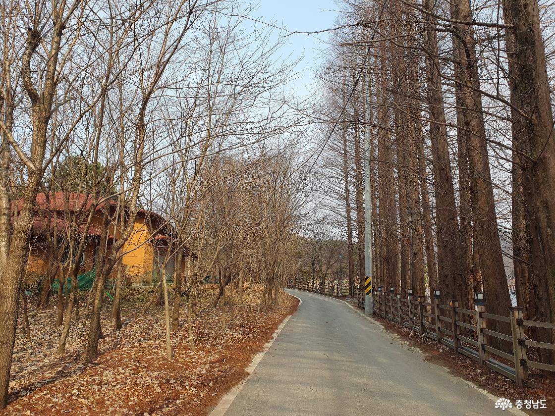 입암저수지 임도