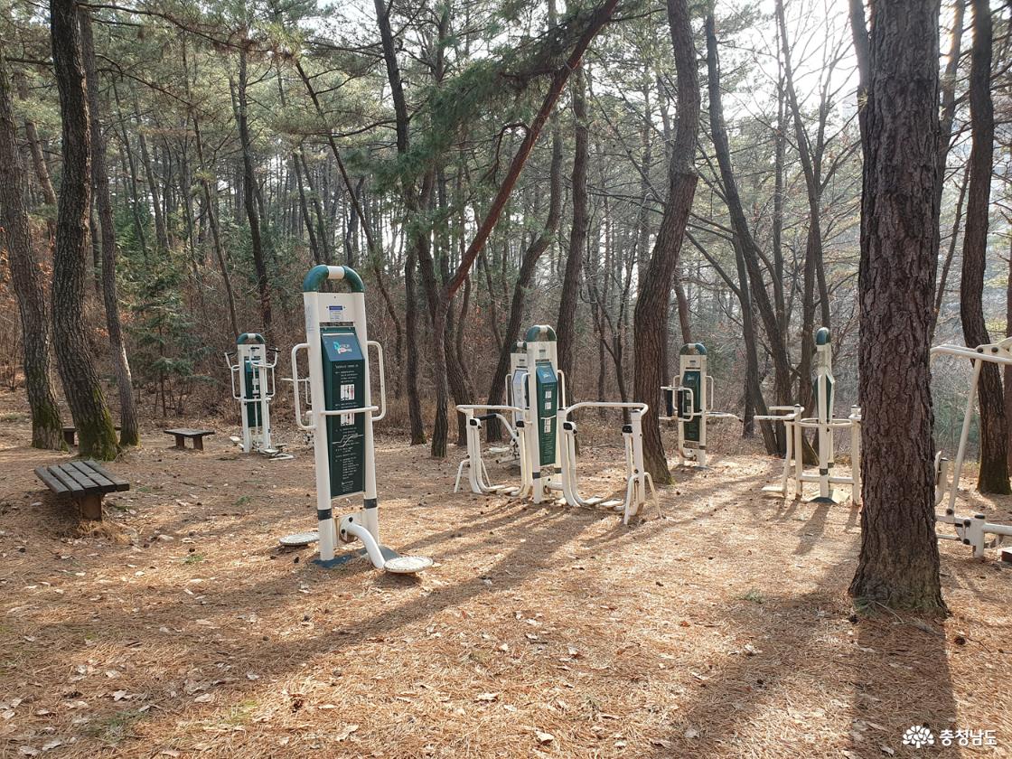 숲에 조성된 운동시설