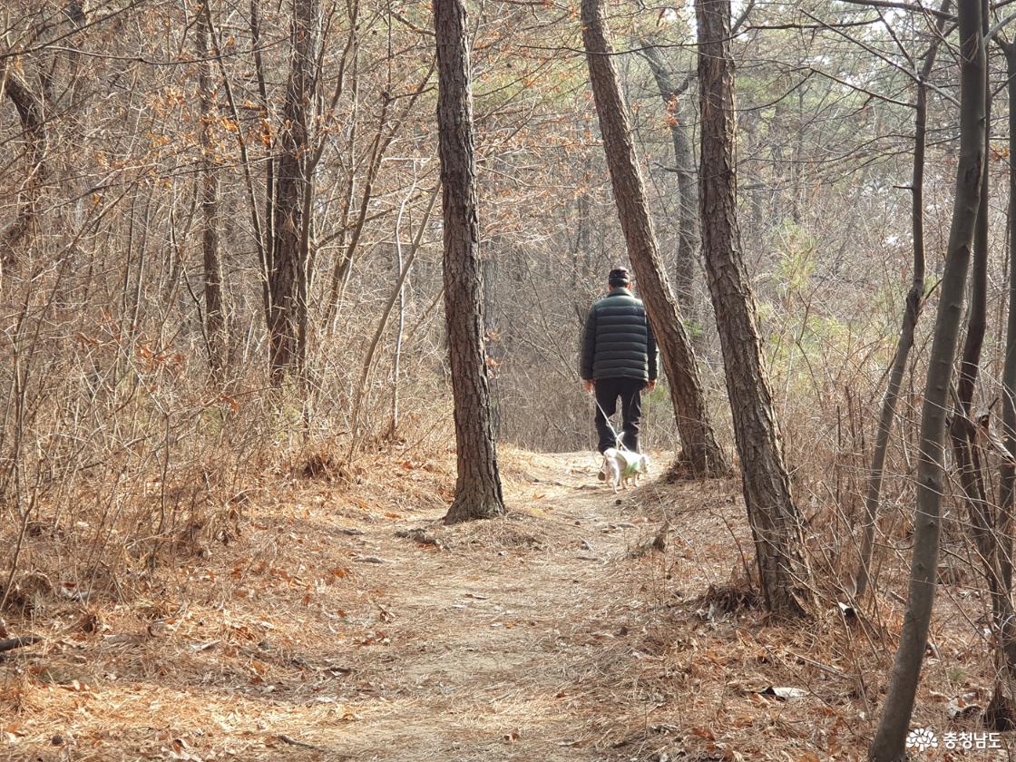 엄사근린공원 숲길
