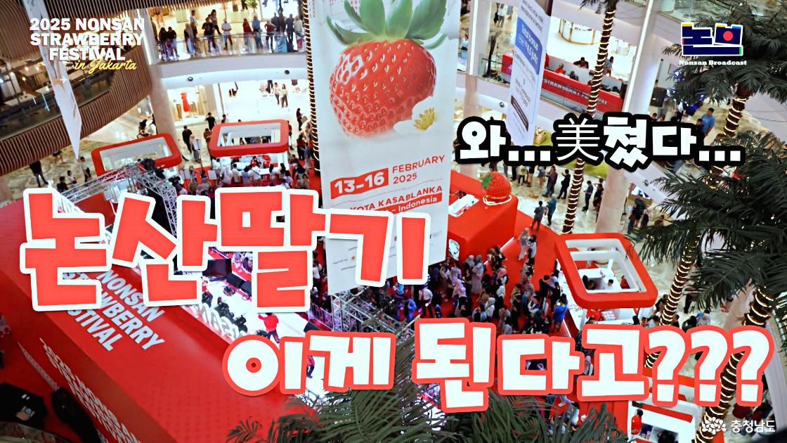 인도네시아와 논산딸기 