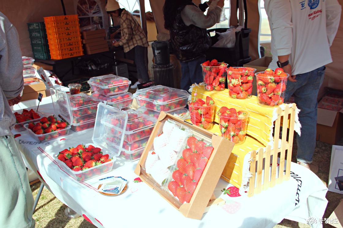 맛좋은 논산 딸기 제품 