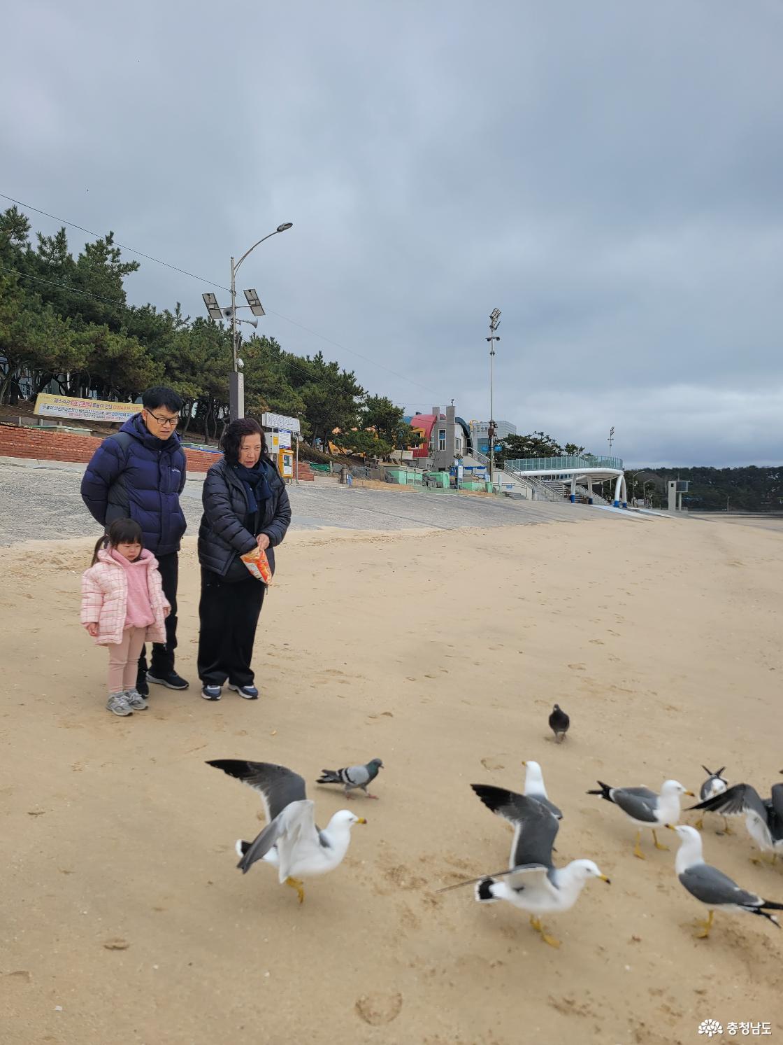 성주산자연휴양림