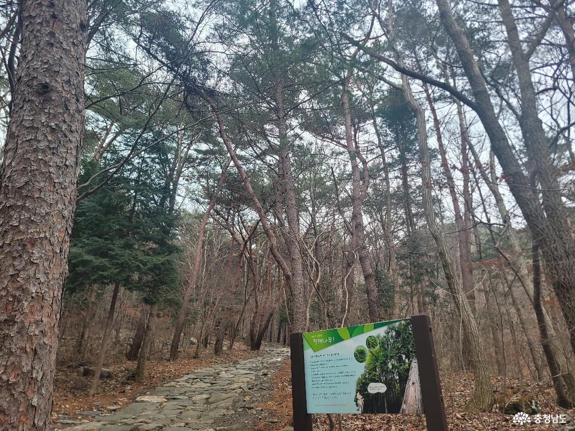 성주산자연휴양림
