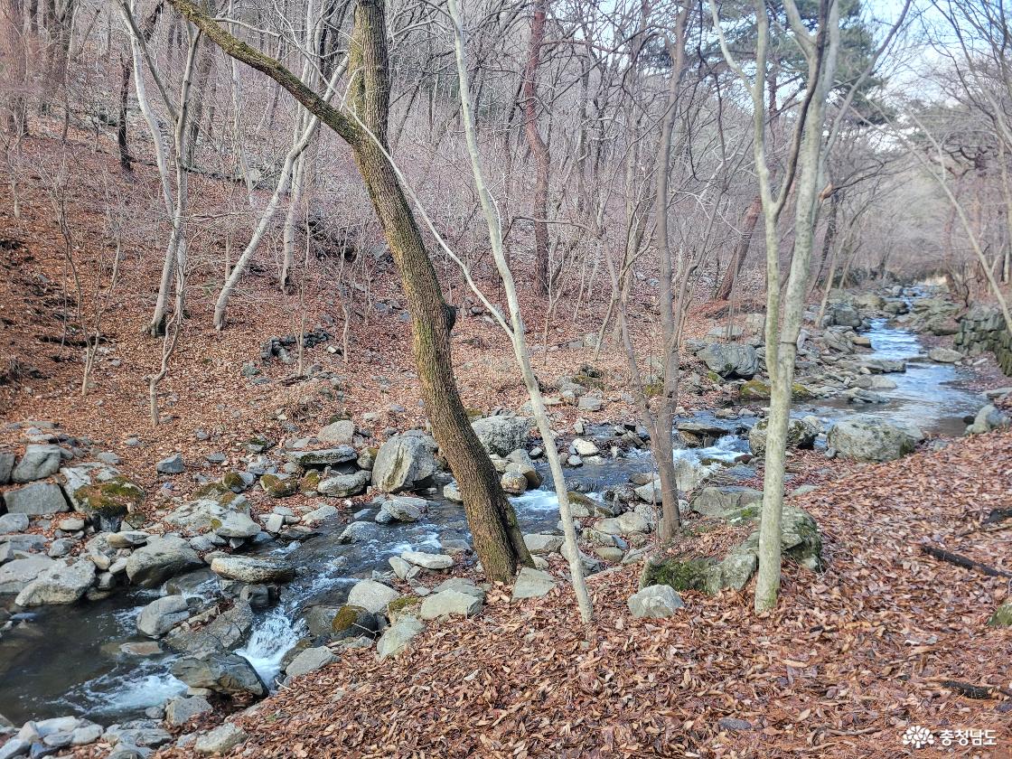 성주산자연휴양림