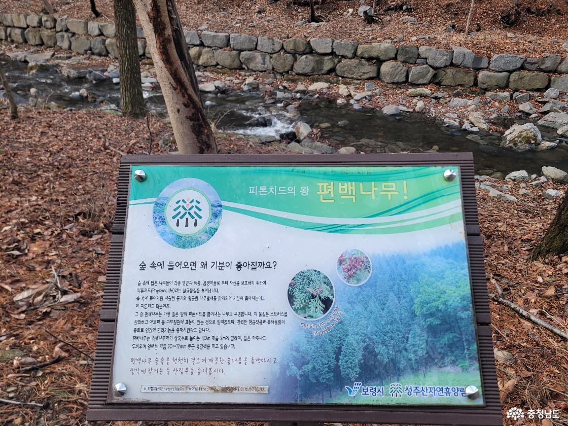 성주산자연휴양림