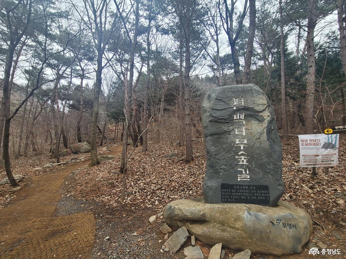 성주산자연휴양림