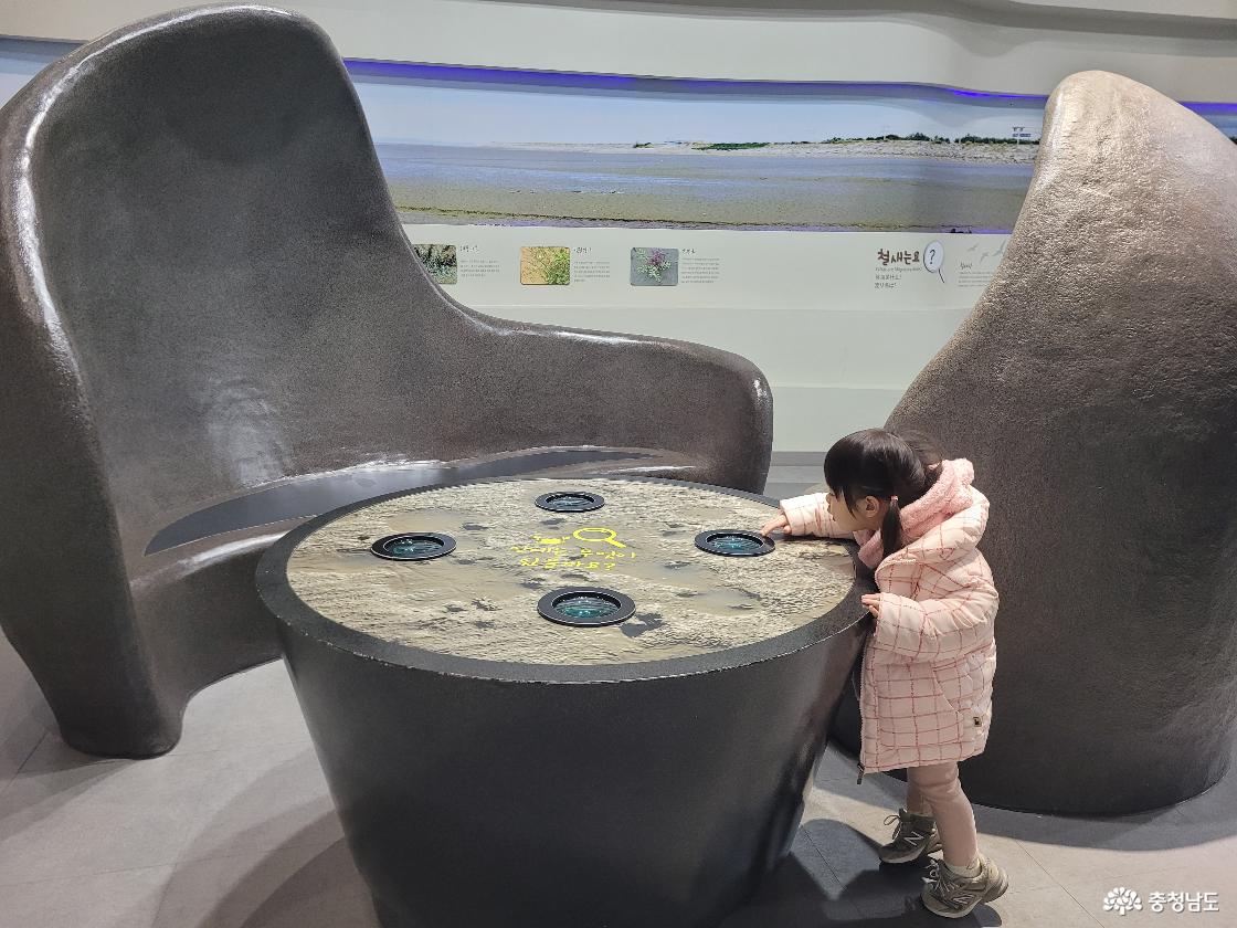 보령박물관