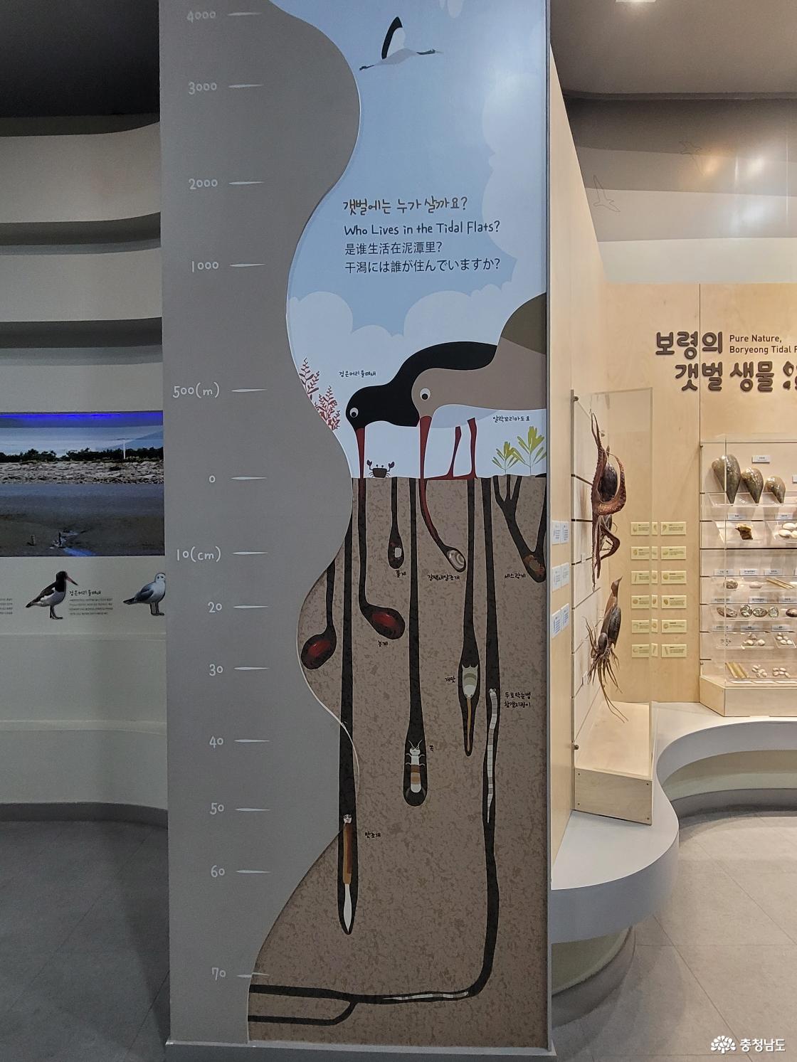 보령박물관