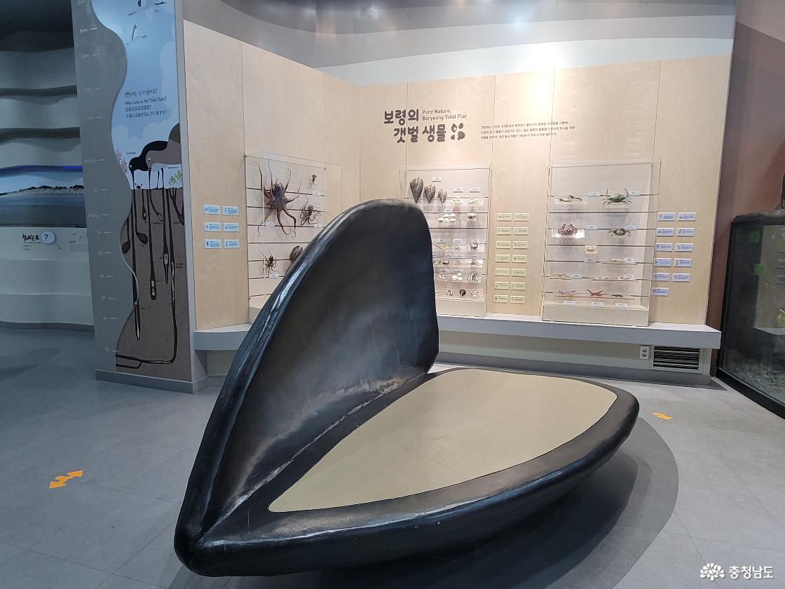 보령박물관