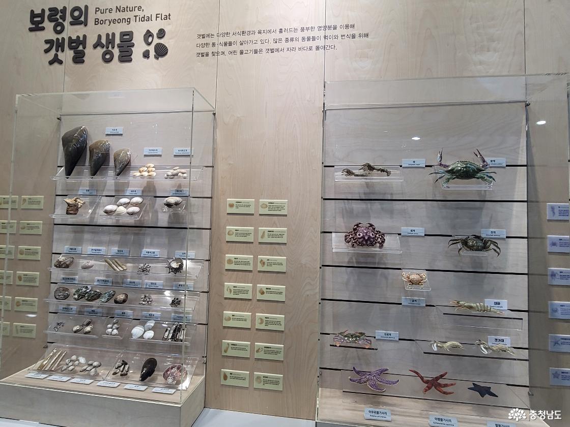 보령박물관