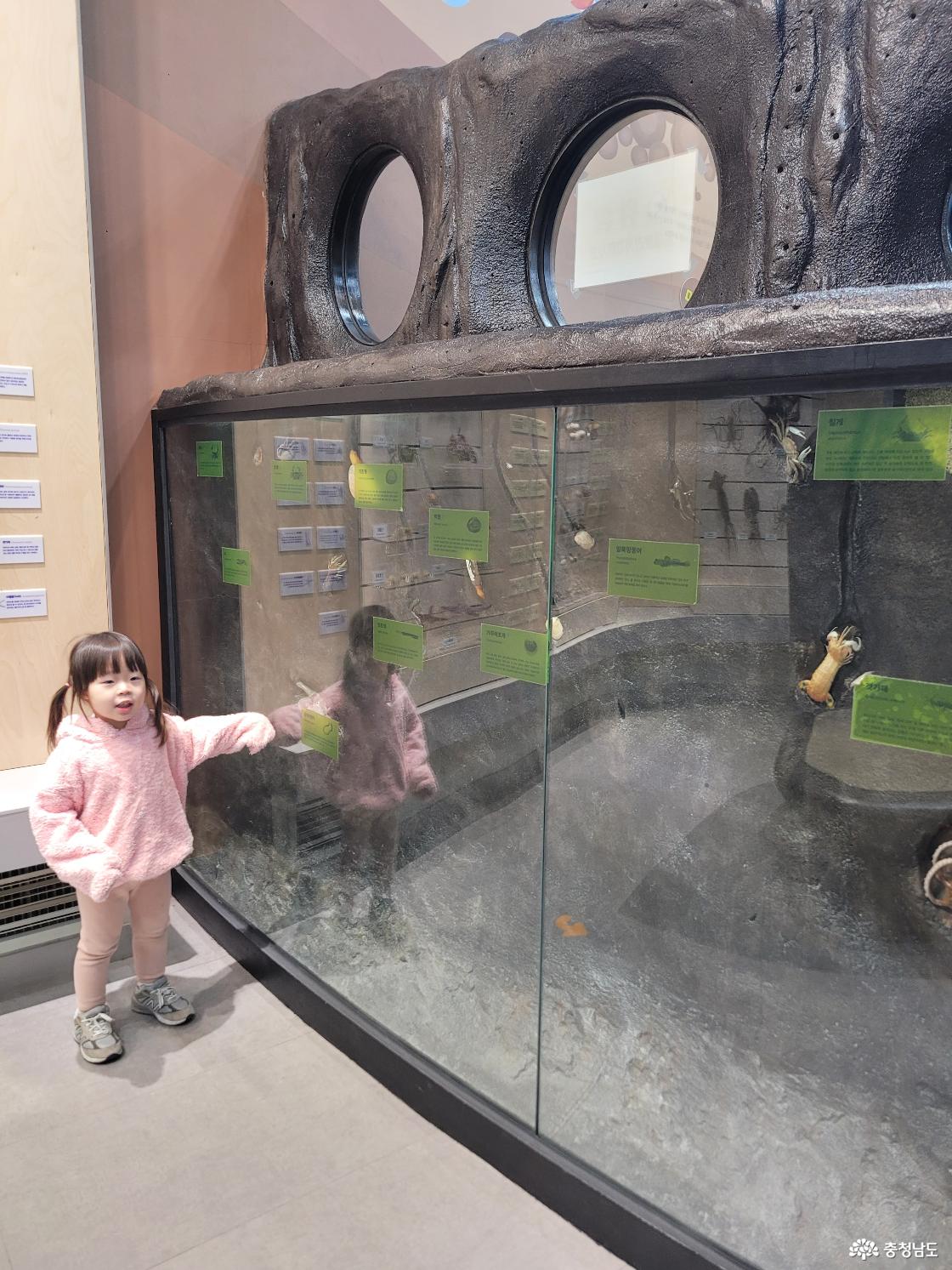 보령박물관