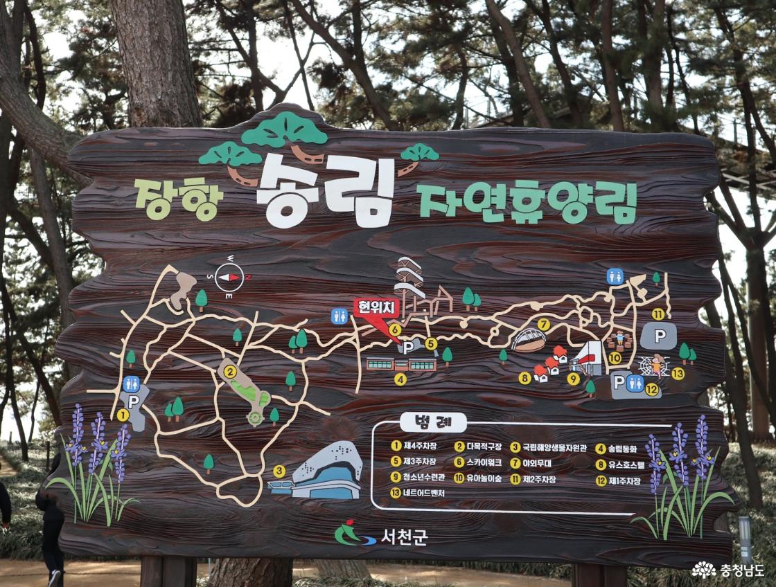 서천의 대표적 관광지 장항송림욕장