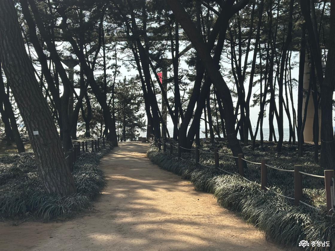 사계절 아름다운곳으로 관광객들이 많이 오는곳이에요.