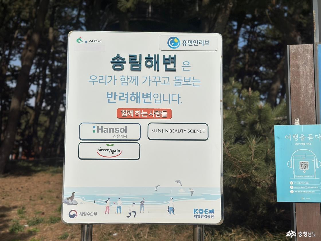 송림해변에서도 가능하더라구요.