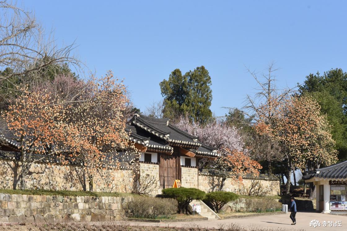 충남 예산 추사고택 전경