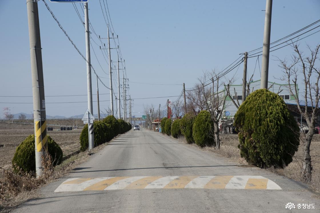 하흑공소 가는 길, 도로 바닥은 시멘트
