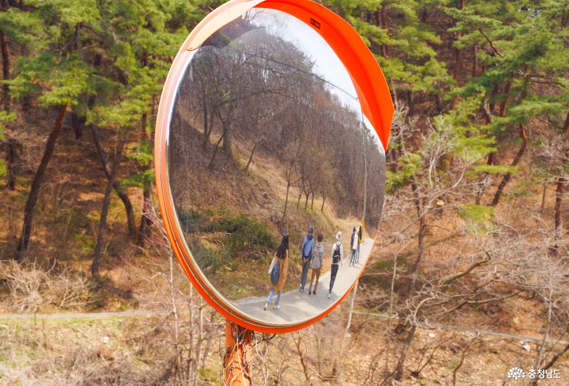 백련암에서 마곡사 군왕대로 가는 길
